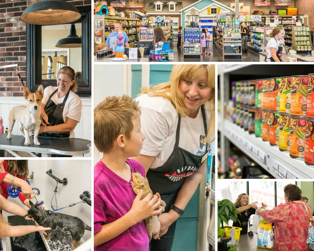 Collage of pet depot retail store scenes